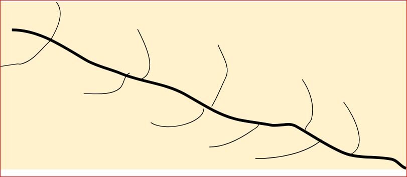 11111 हियरिंग bone अपवाह तंत्र