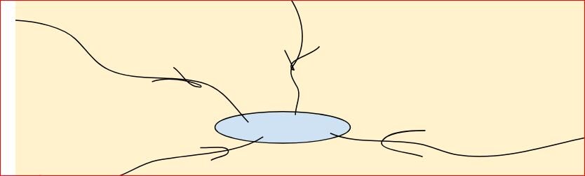 3 अभिकेंद्रीय अपवाह तंत्र