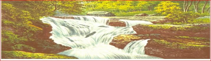 9 क्षिप्रिका